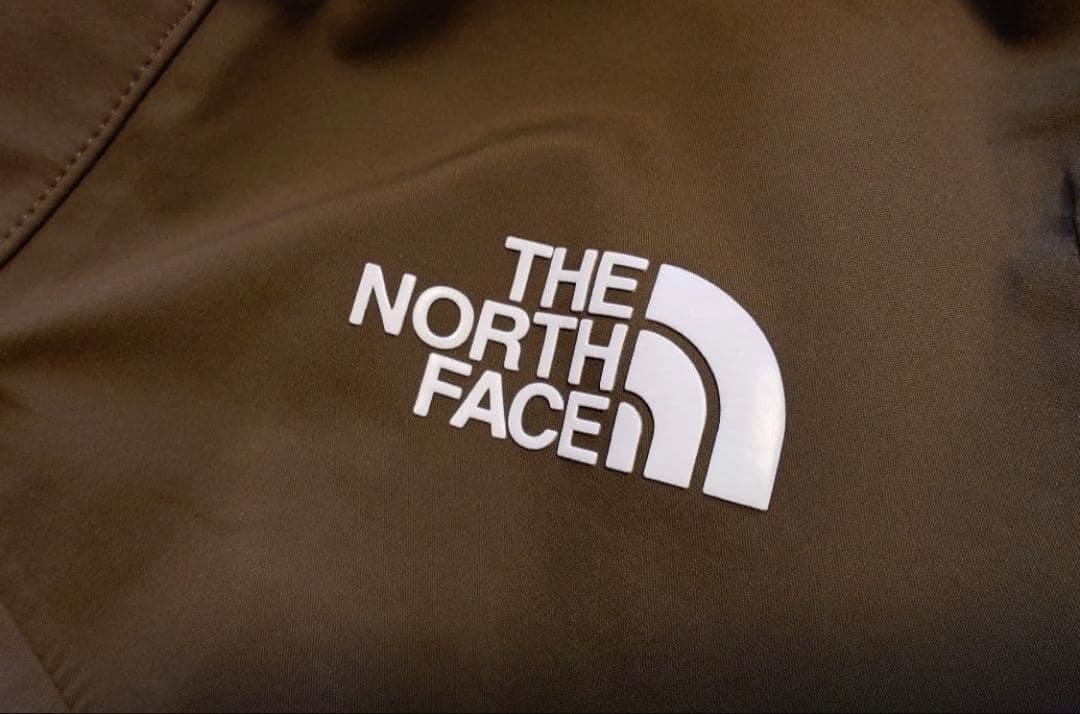 美品The North Face GORE-TEXプロ RTG Jacket S