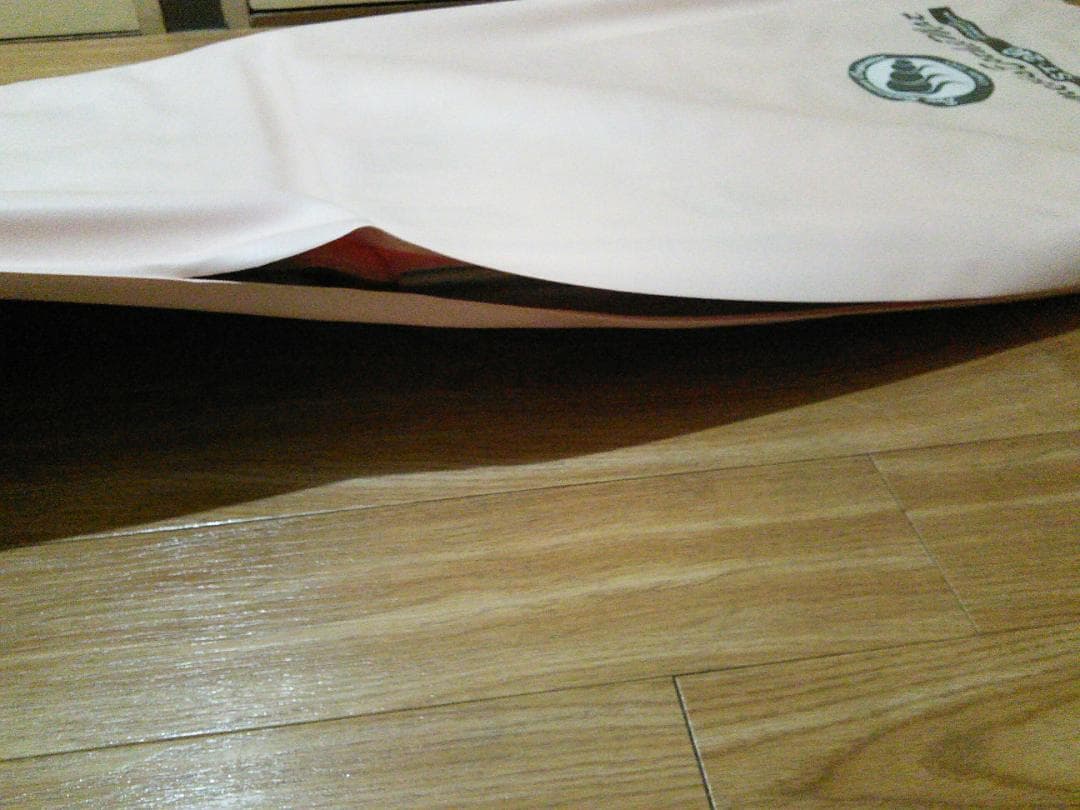 ピュアルネッサンス　ホルミシス　エスティーマットST240　難あり