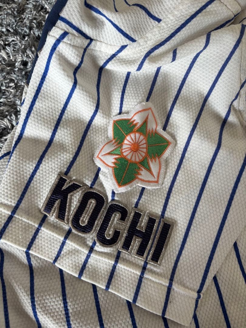 明徳　明徳義塾　野球部　高校野球　メッシュユニフォーム 甲子園　Mサイズ