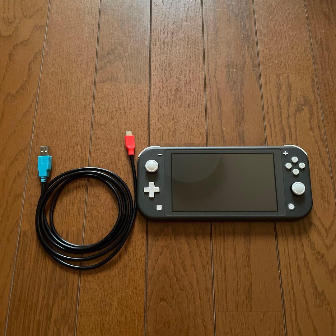 Nintendo Switch Lite グレー 本体とUSBケーブル