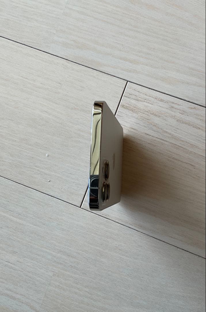 Apple iPhone 12 Pro Max イヤホンおまけ付き