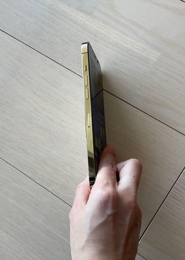 Apple iPhone 12 Pro Max イヤホンおまけ付き