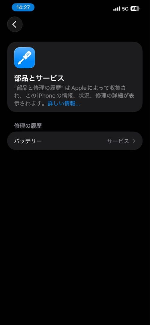 Apple iPhone 12 Pro Max イヤホンおまけ付き