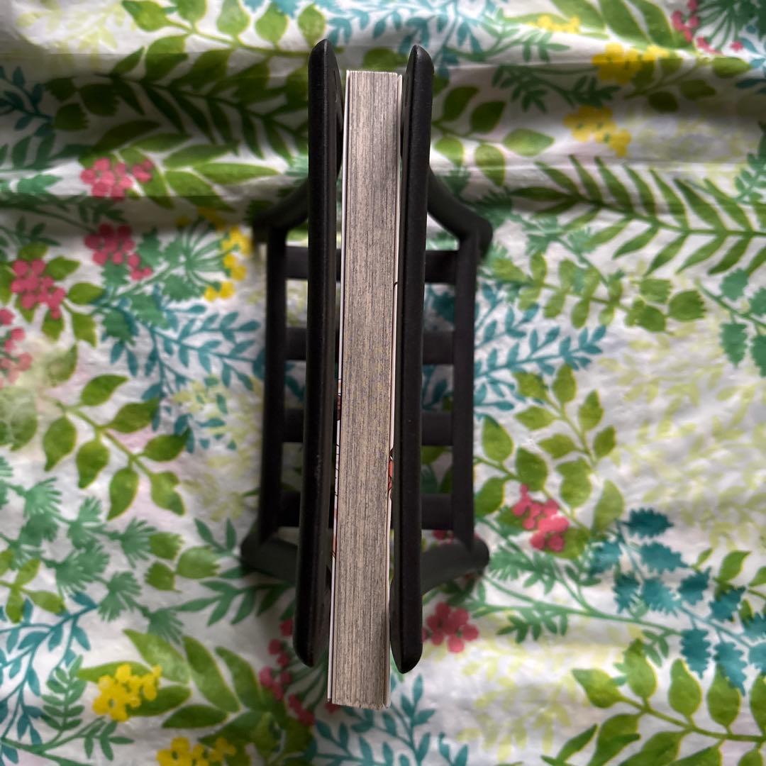 【旧版・絶版・特典未開封品】DVD付き初回限定版 魔法先生ネギま! 37