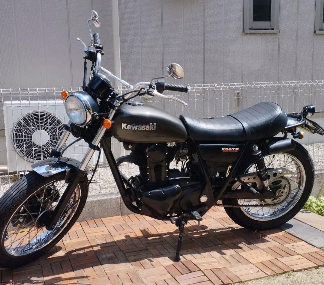 townさん専用250TRステンレスショートフェンダーフロントリアセットデイトナ