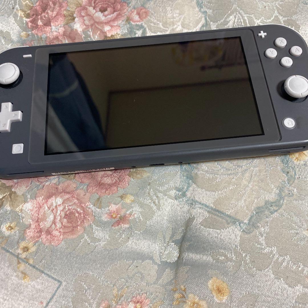 スイッチライト　Switch light ソフトデータあり