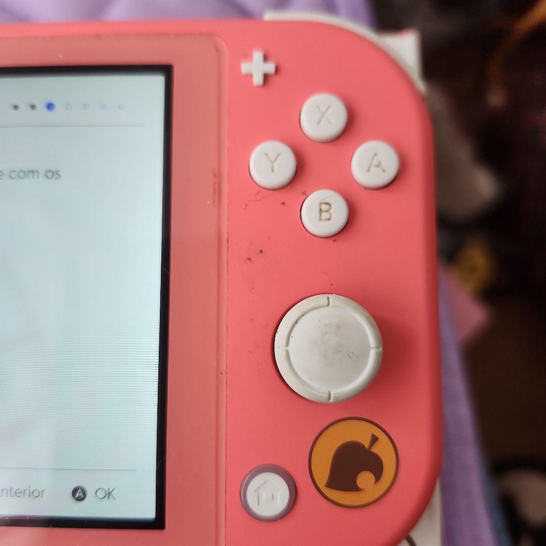 ちゃんNintendoSwitchLite本体あつ森柄