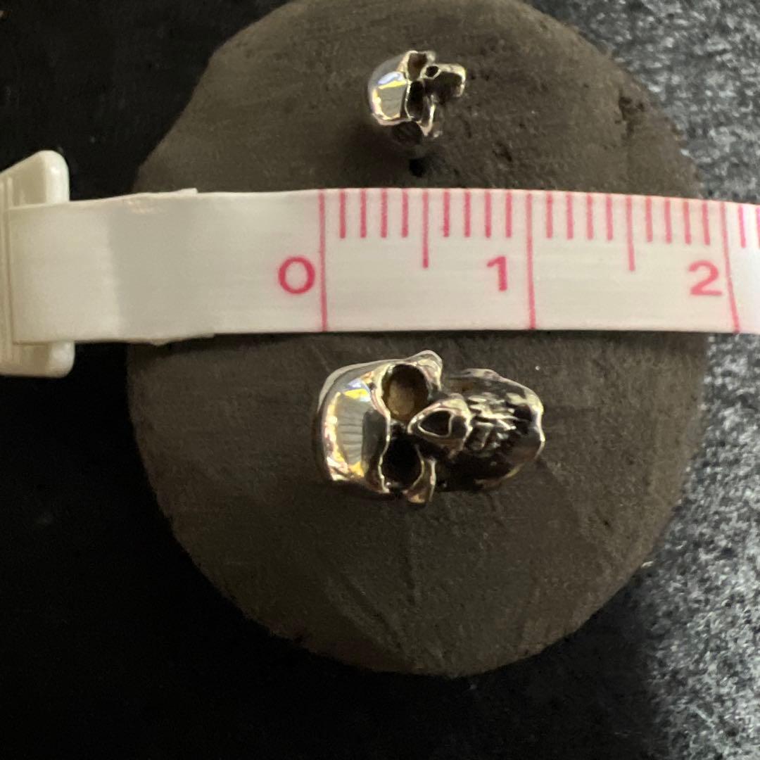 クレイジーピッグCrazy Pig ピアス