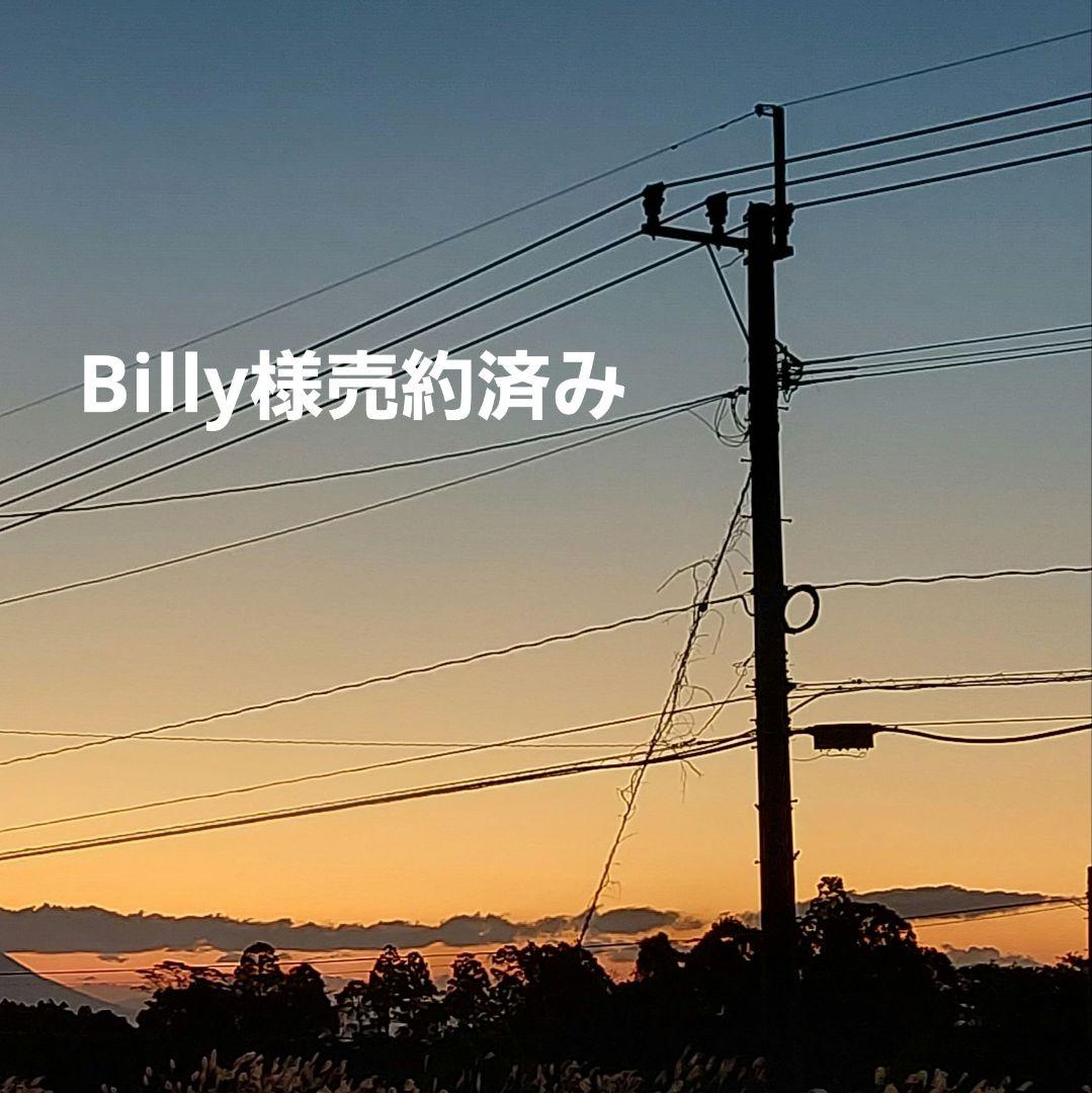 Billy様売約済み！コグザビッグスモーク　ジャンプスーツ　ダークネイビー