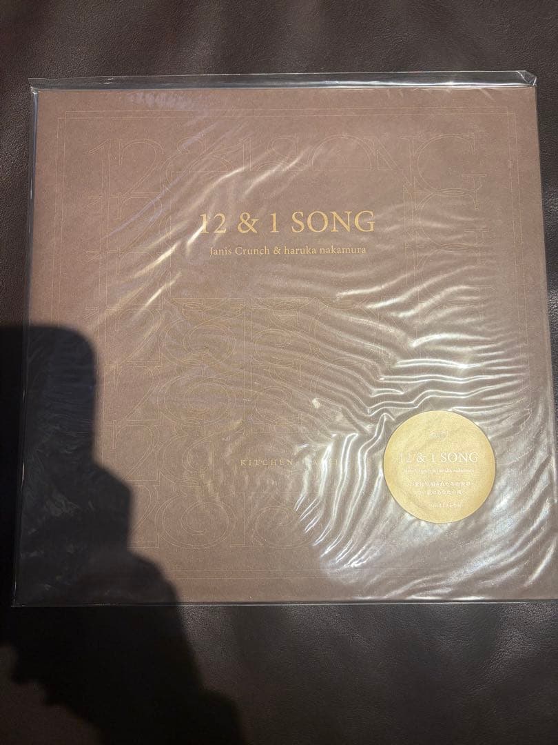 邦楽 haruka nakamura 12 & 1 SONG LP