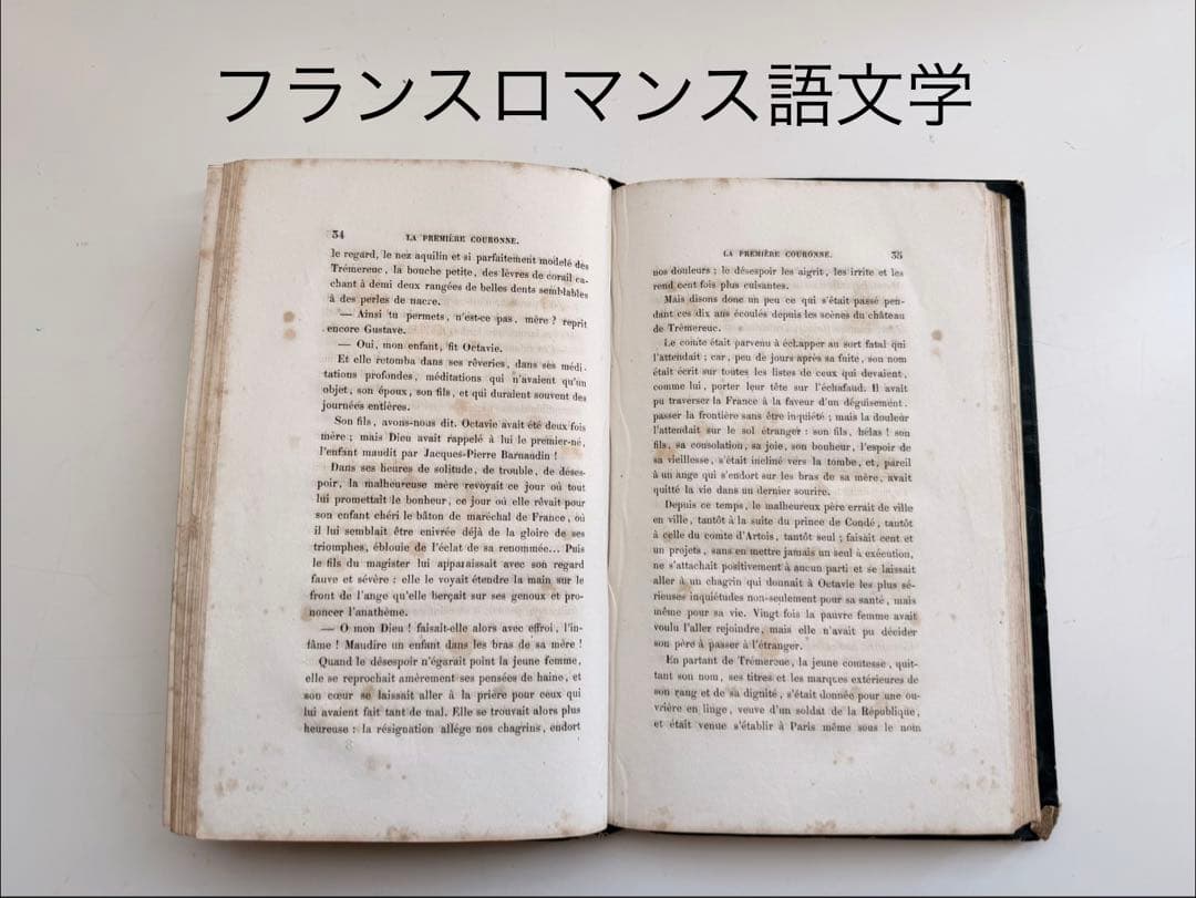 フランス小説、歴史書、図録 ロマンス古本など、おまとめ４冊セット