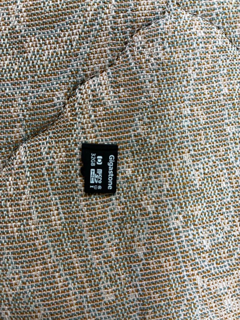 Nintendo switch lite 黒　32G SDカード付き