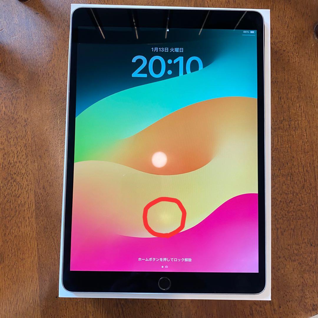 み*や様 (美品) iPad Pro 10.5インチ ApplePencil キ