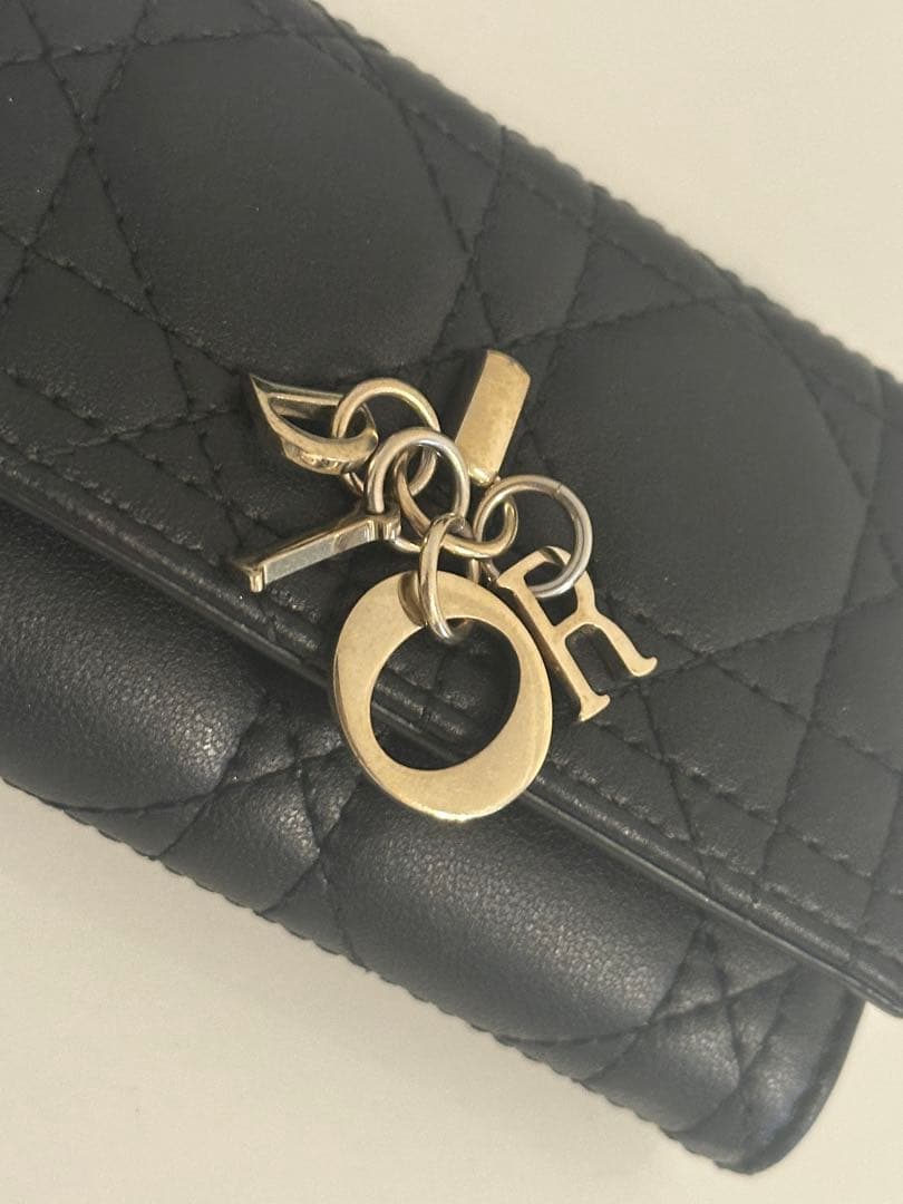 【最終値下げ】My Dior Aster キーケース