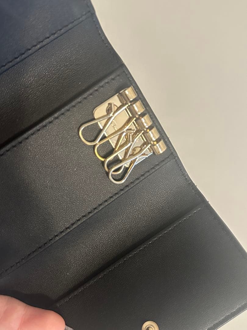 【最終値下げ】My Dior Aster キーケース