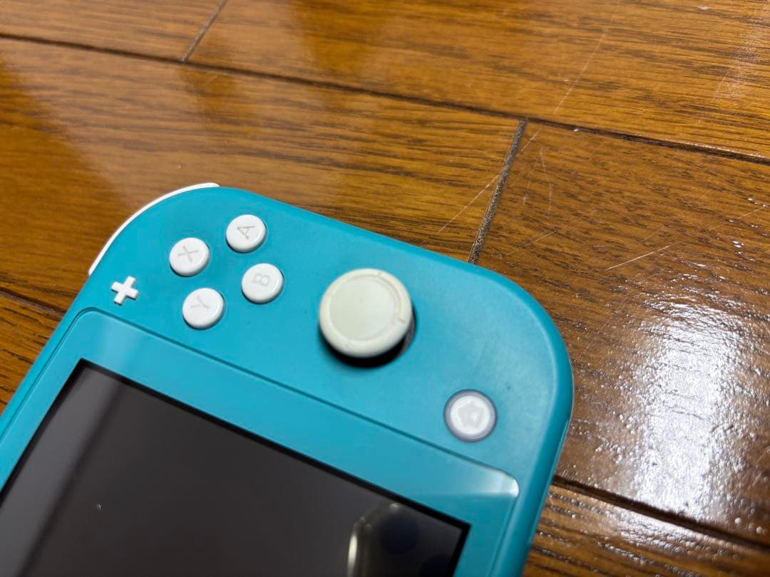 Switchライト 本体