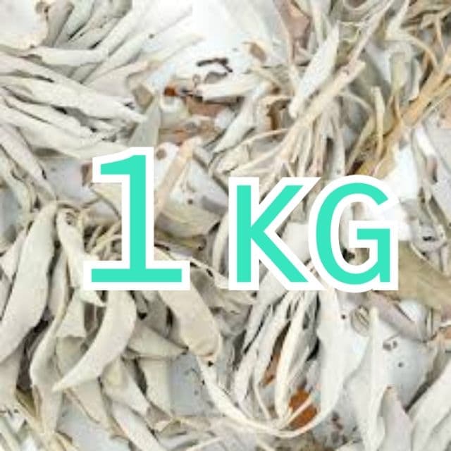 激安価格タイムセール☆無農薬ホワイトセージ枝付きクラスター1KG業務用価額お得