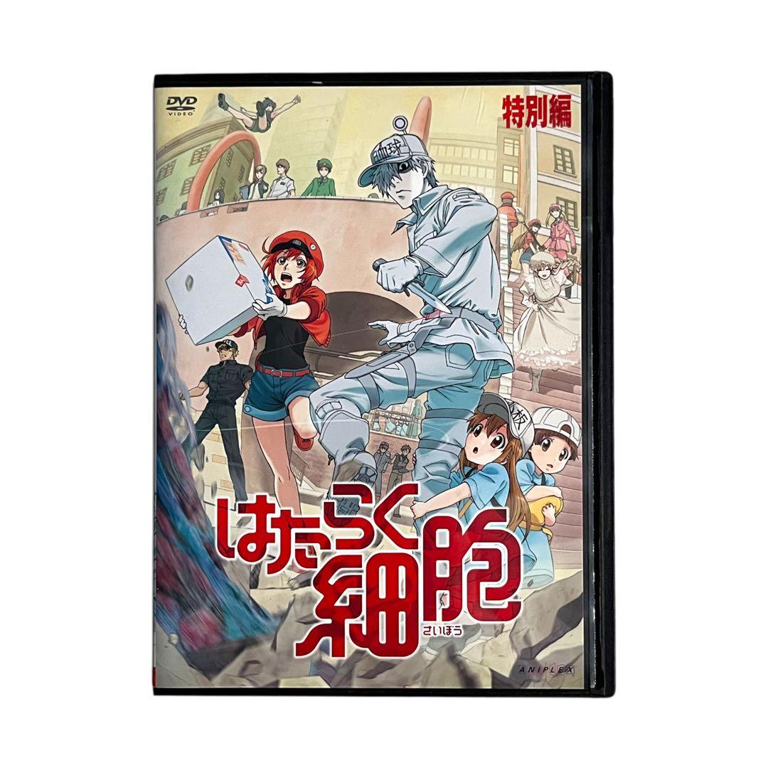 新品ケースDVD 「 はたらく細胞 」 1期・特別編・2期 全12巻 豪華セット