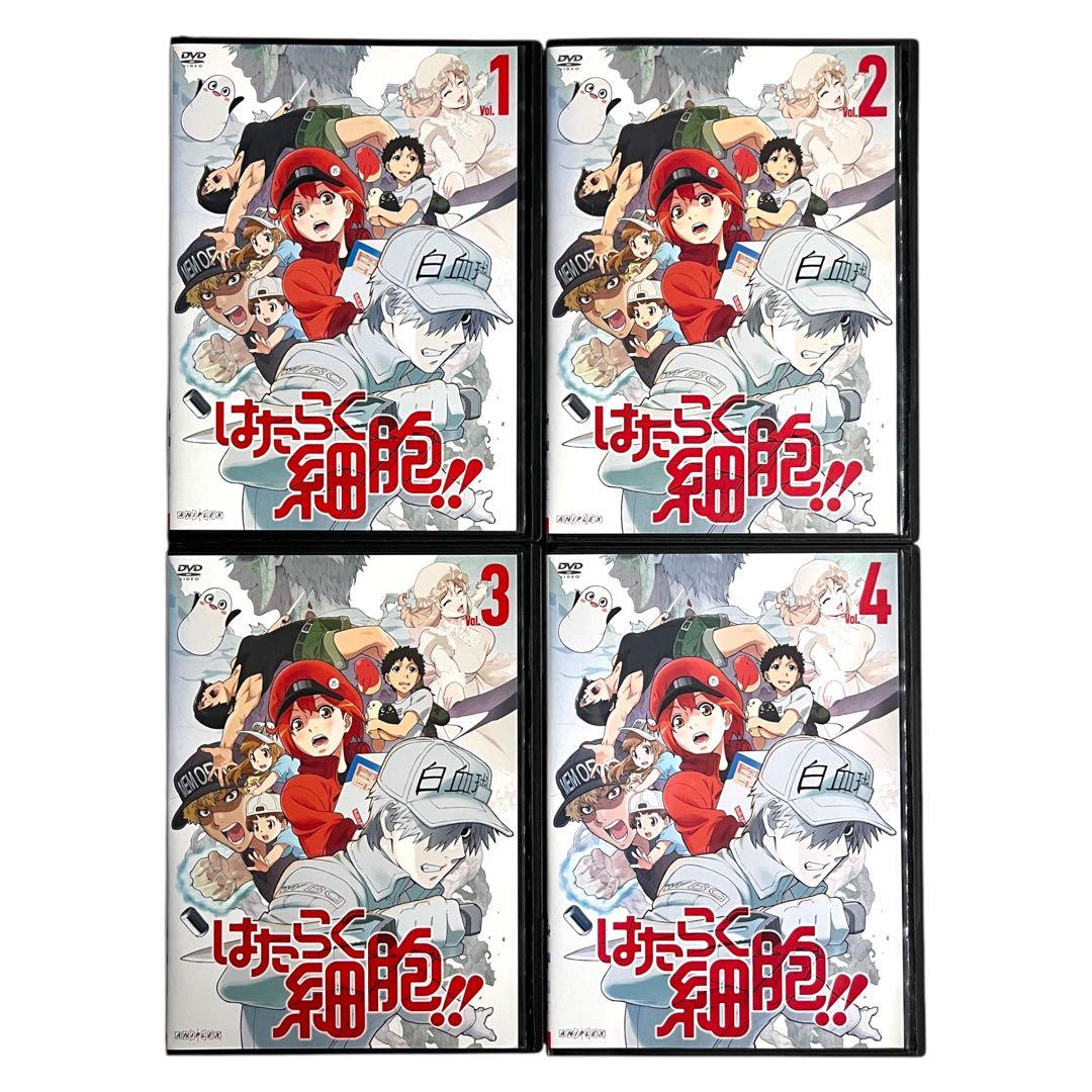 新品ケースDVD 「 はたらく細胞 」 1期・特別編・2期 全12巻 豪華セット