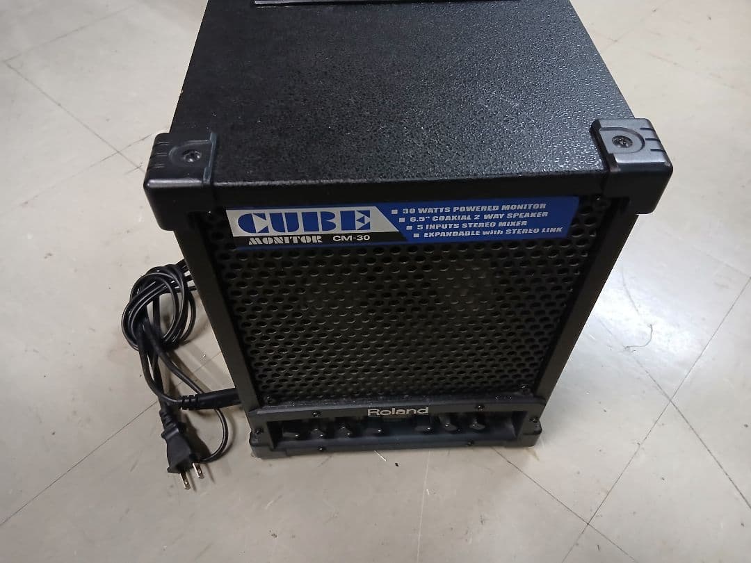 Roland CM-30 モニタースピーカー 30W