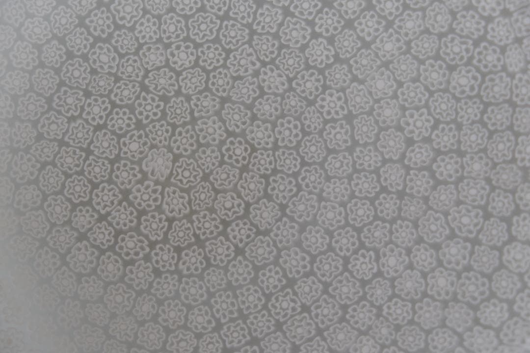 ミルフィオリ ガラス プレート グラス 江波冨士子/舩木倭帆/藤田喬平/田子美紀