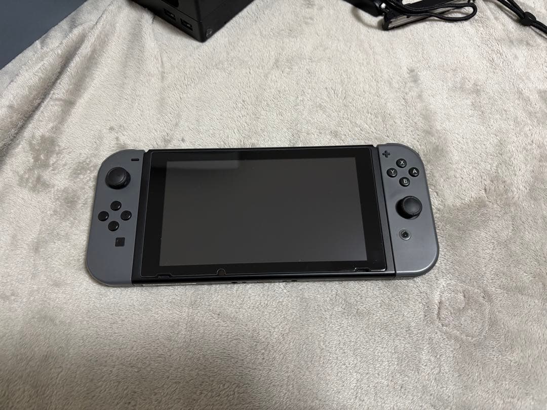 Nintendo Switch 本体 グレー,付属品