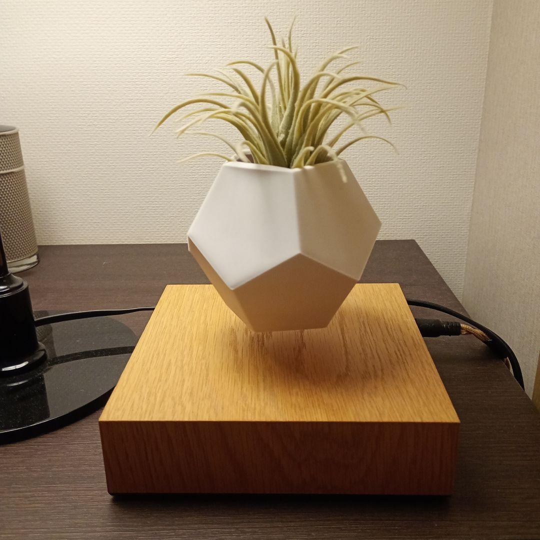 FLYTE（フライト）LYFE　ライフ　プランター