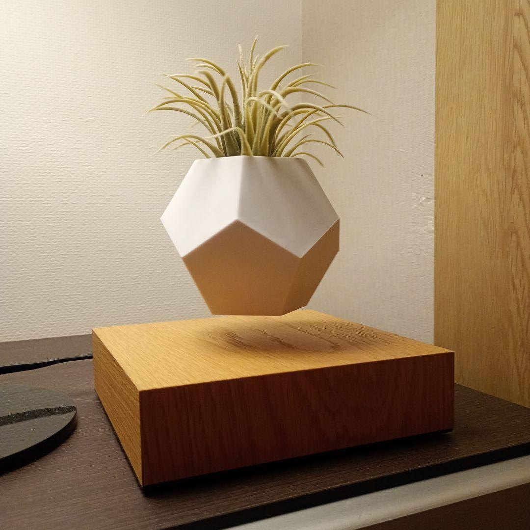 FLYTE（フライト）LYFE　ライフ　プランター