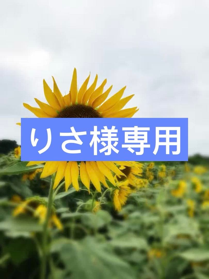 2点まとめ商品　英語絵本