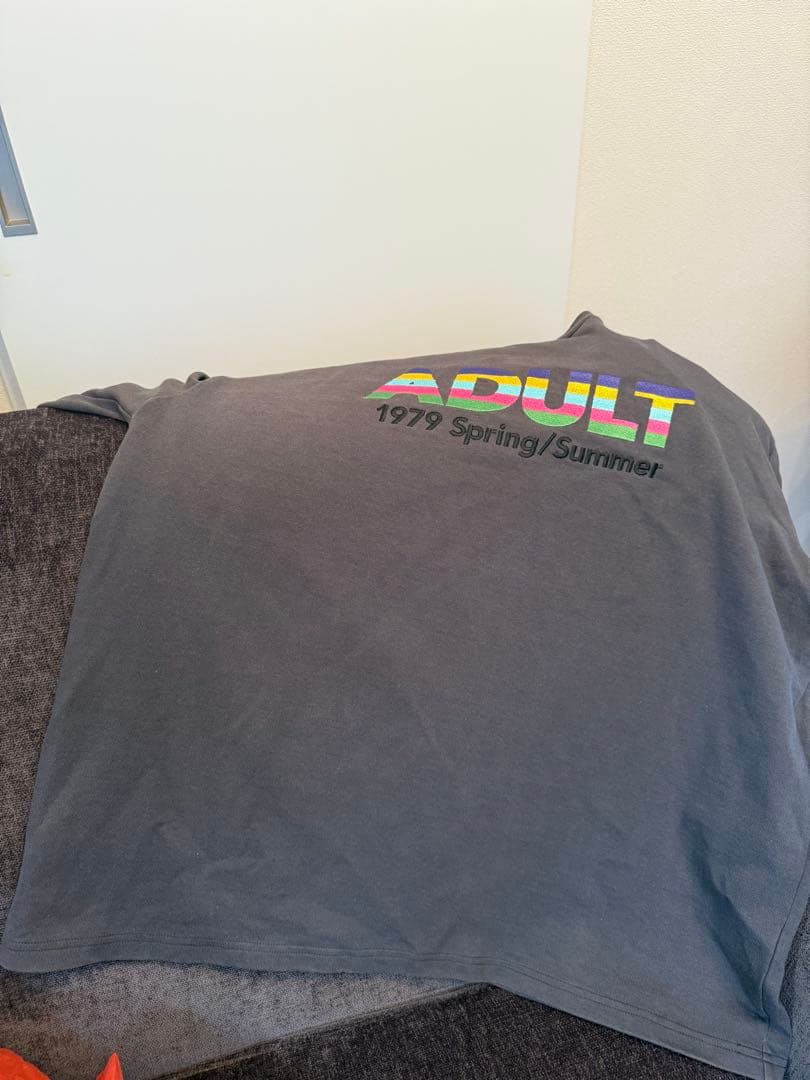 【期間限定値下げ】DAIRIKU 19ss ADULT Tシャツ　メンズ