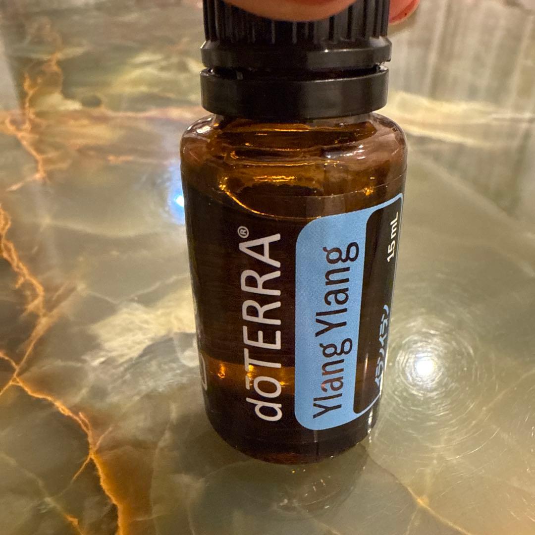 売切最終価格‼️ ドテラ アロマ エッセンシャル オイル 20本 木箱 ボックス