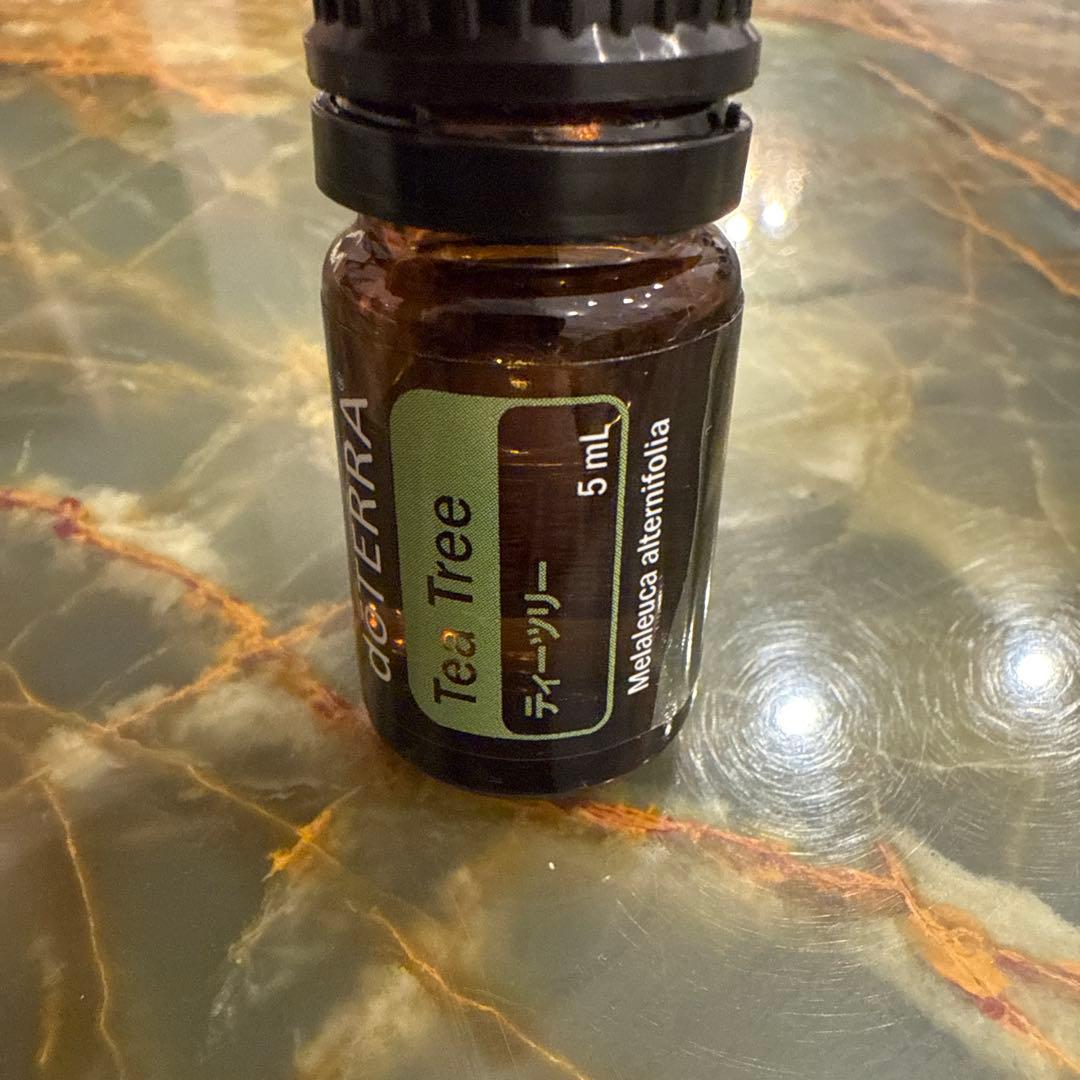 売切最終価格‼️ ドテラ アロマ エッセンシャル オイル 20本 木箱 ボックス