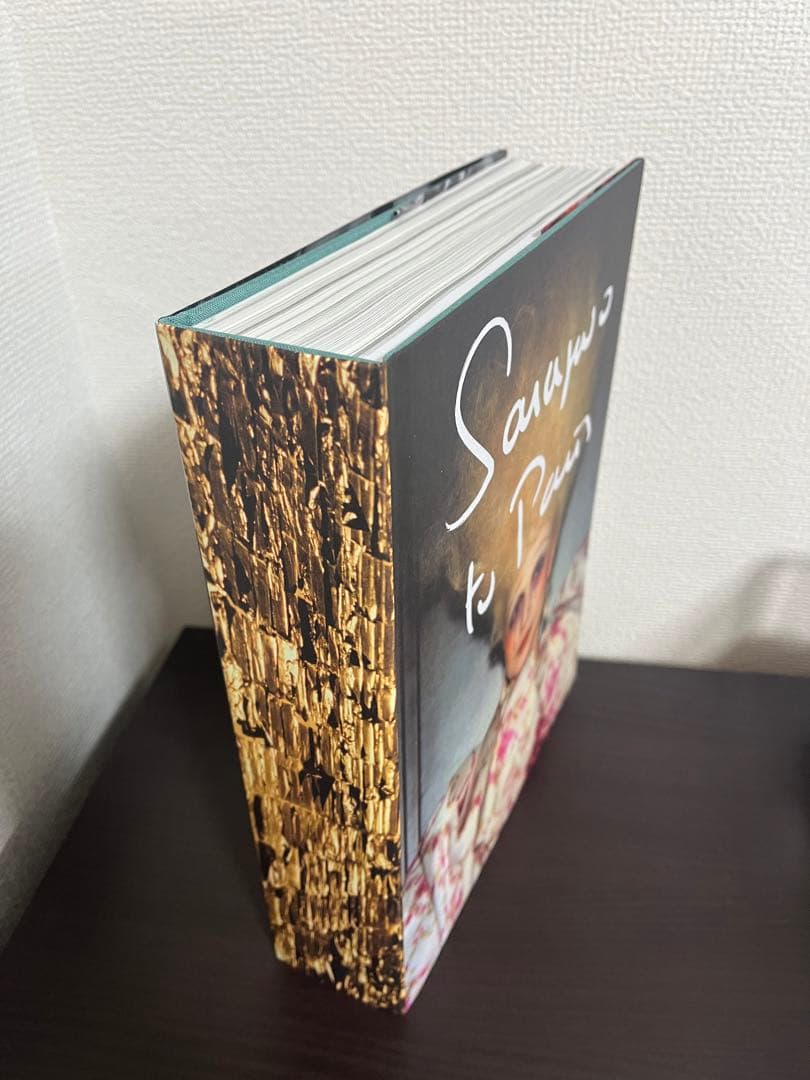 SARAJEVO TO PARIS Marleen Daniels 洋書