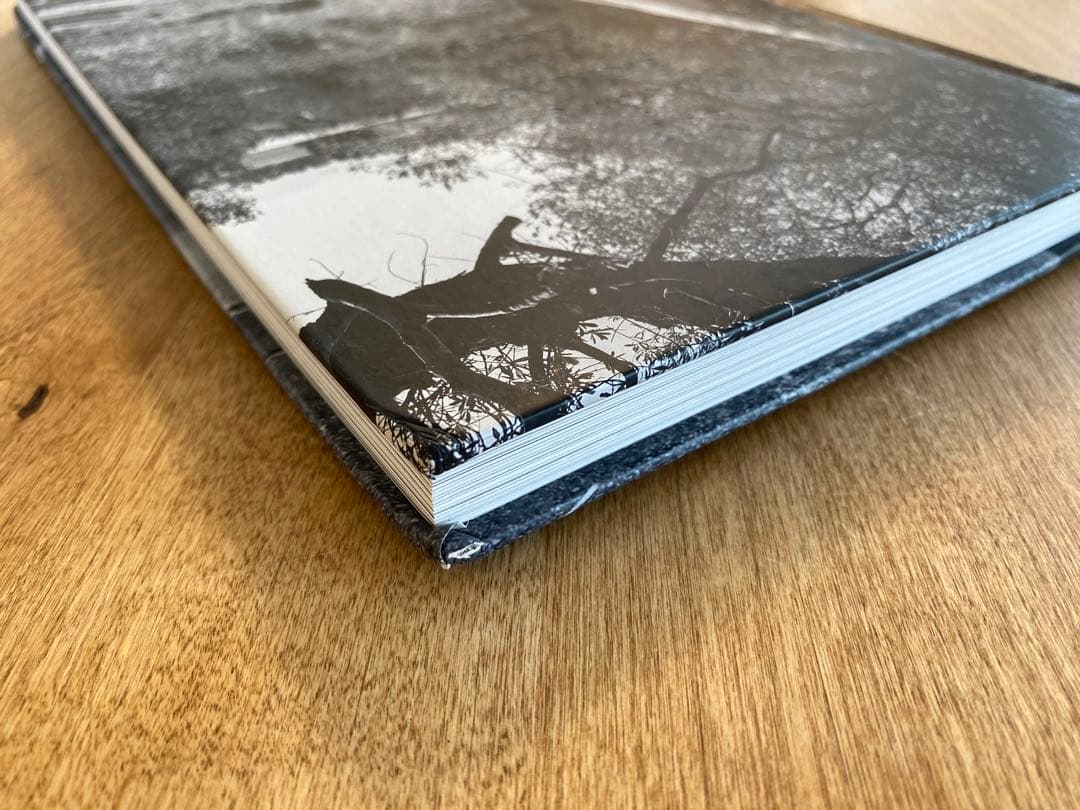 サイン入 Say Goodbye Before... Enri Canaj