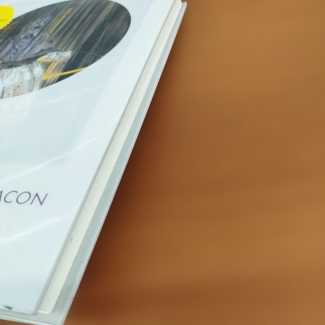 FRANCIS BACON 　2013年 145P HC