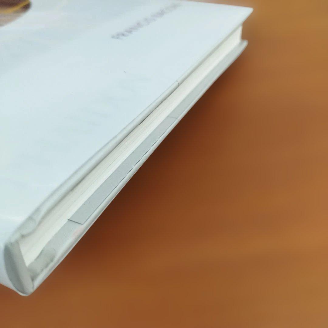 FRANCIS BACON 　2013年 145P HC