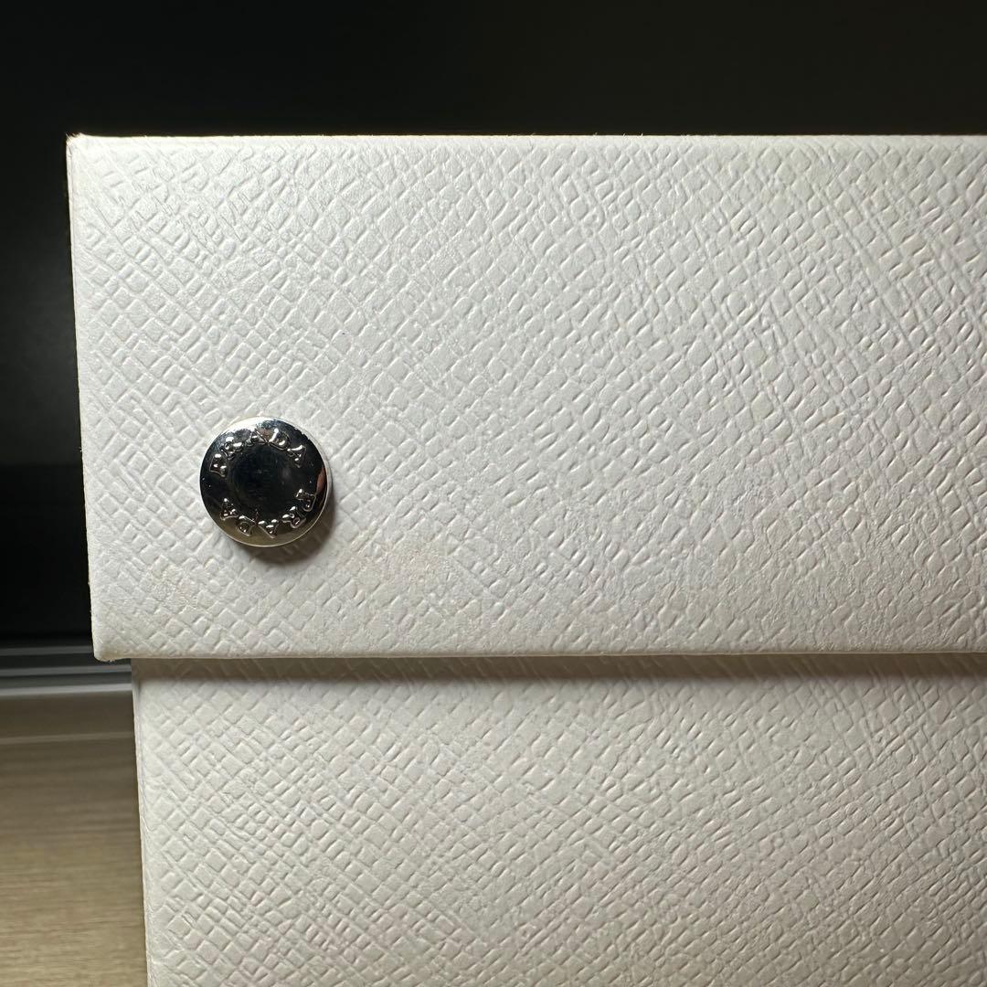 【希少品】PRADA ステンレススチール ランチボックス ラージ