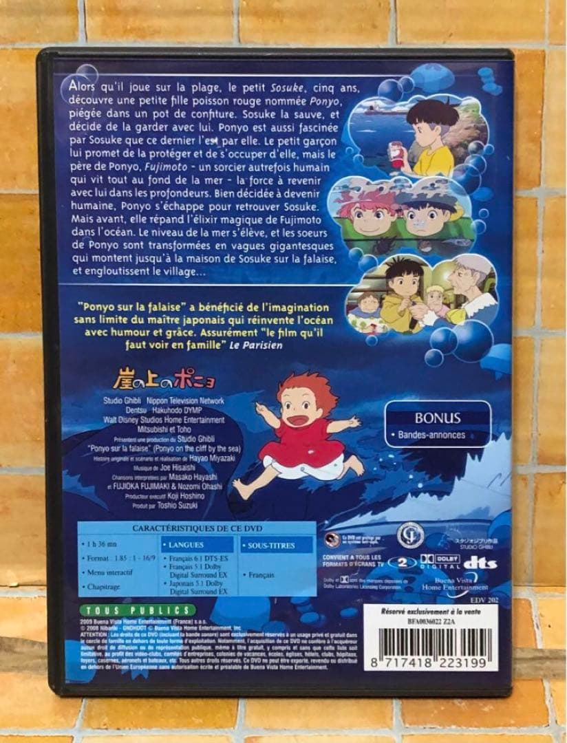 スタジオジブリ DVD ４作品セット [フランス版] 宮崎駿監督　学習用にも最適
