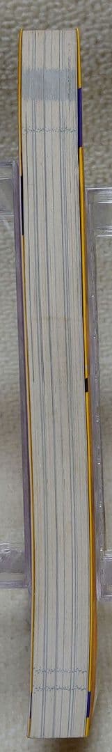 サイバースペースからの攻撃 河上イチロー