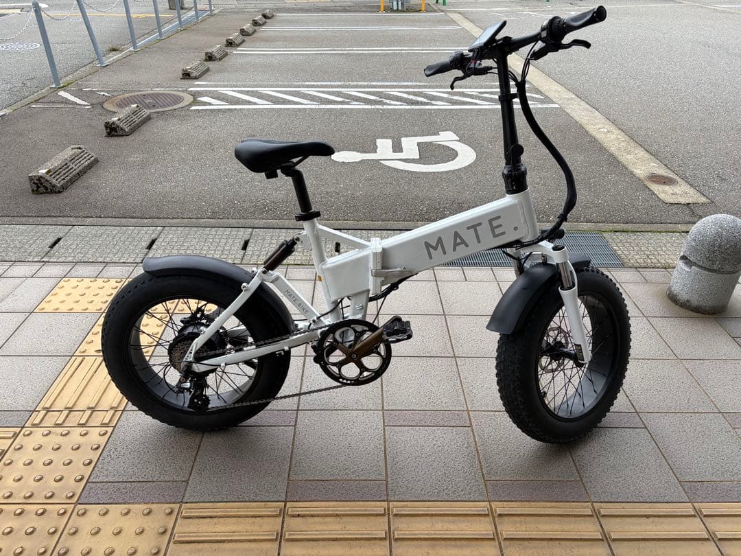 MATE X 250 日本未発売モデル