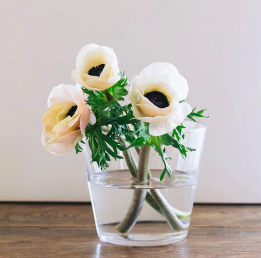 ※バケツ型のみ　ミモレ別注　Sghr スガハラ　フラワーベース２種セット