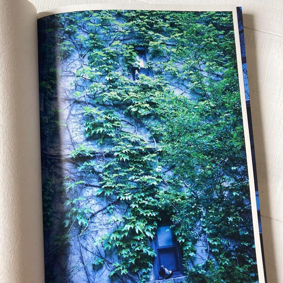 ソール・ライター IN STILLNESS 初版・1500部 井津由美子