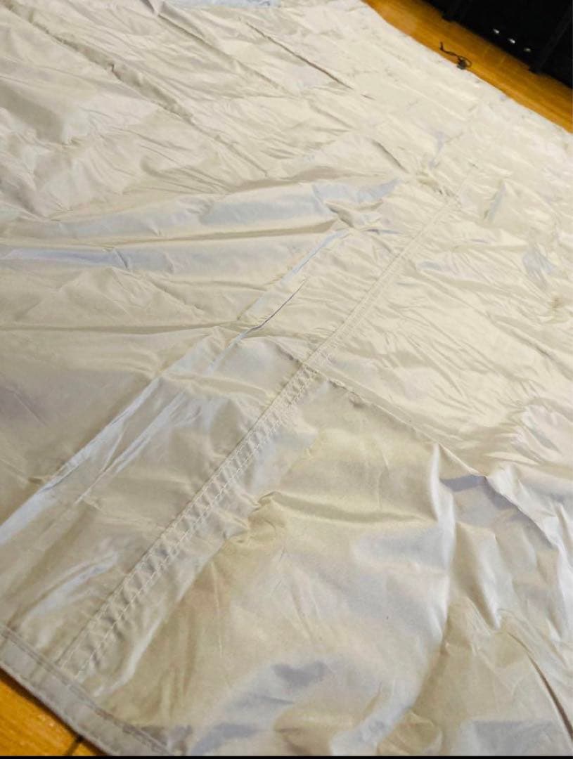 テンゲルスタンダード　ヤマブキ