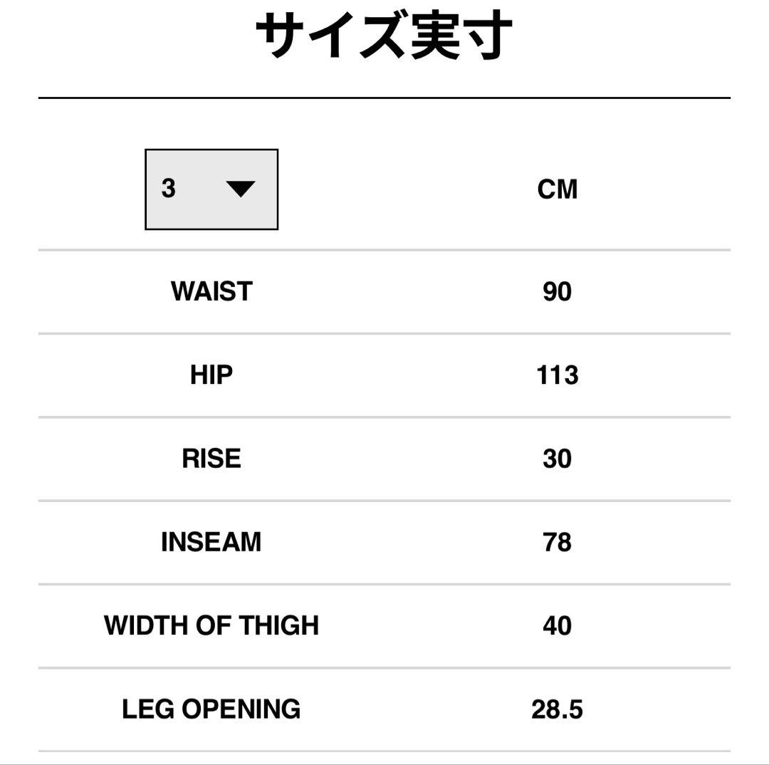 新品未使用　Sacai x Carhartt WIP Duck Pants