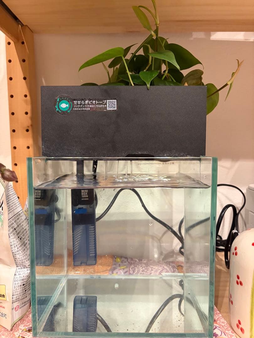 水槽　せせらぎビオトープ　20cm