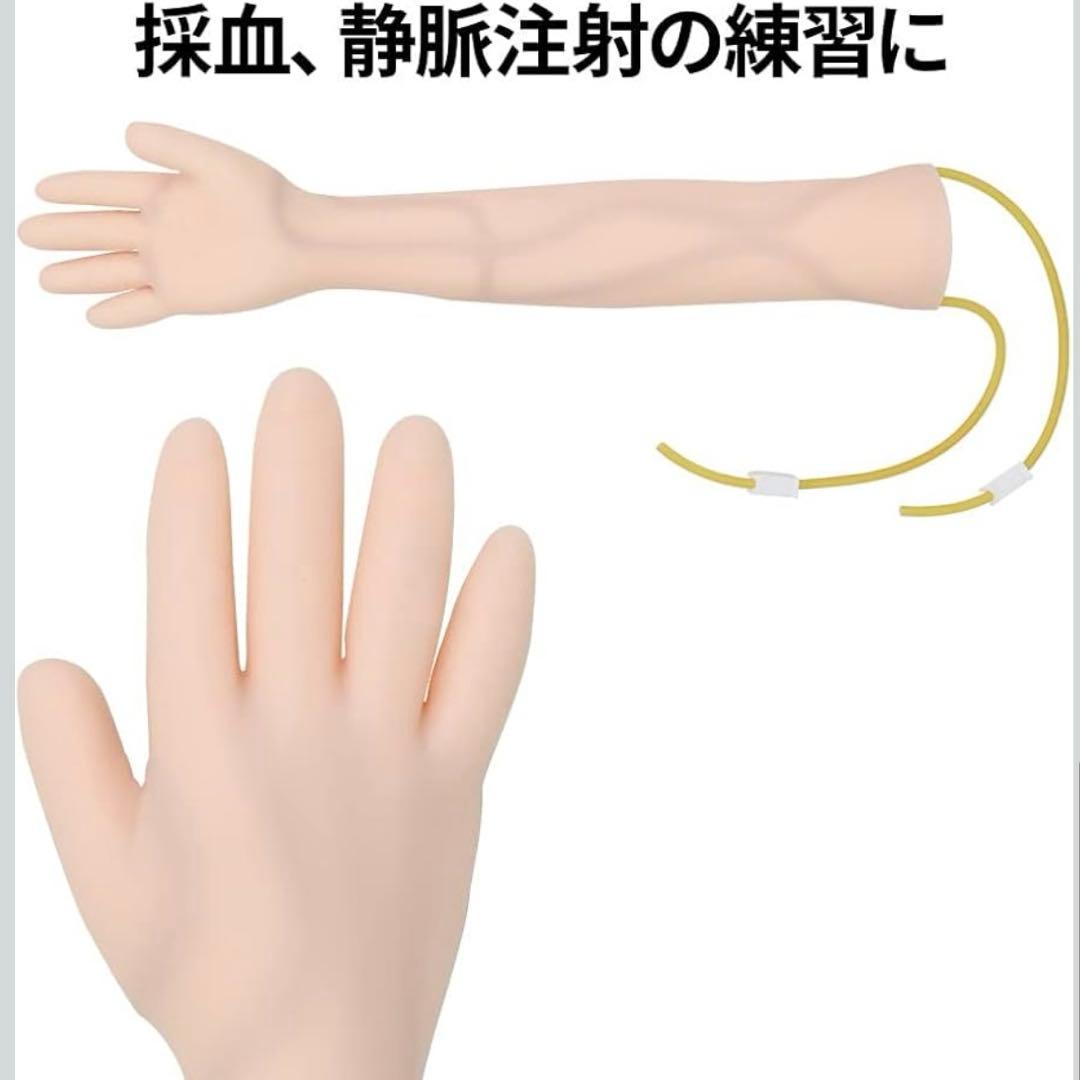 採血練習キット　静脈注射トレーニングモデル