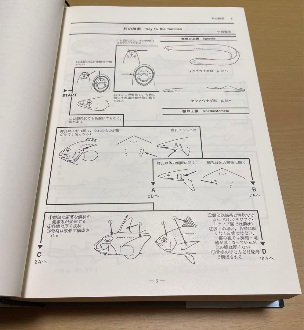 日本産魚類検索(全種類同定)東海大学出版会