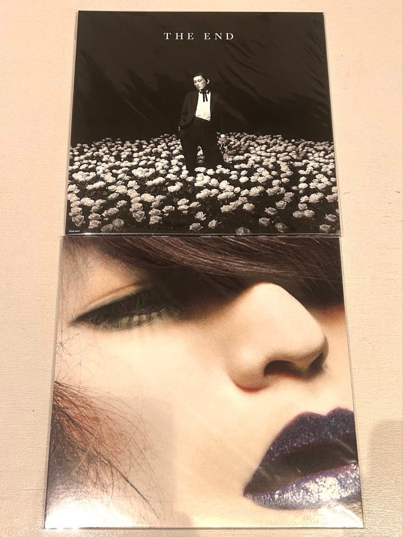 毛皮のマリーズ レコード 2枚セット ドレスコーズ　志磨遼平