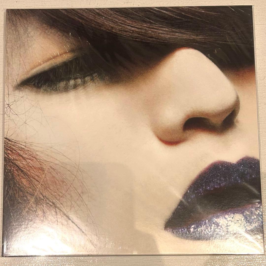 毛皮のマリーズ レコード 2枚セット ドレスコーズ　志磨遼平