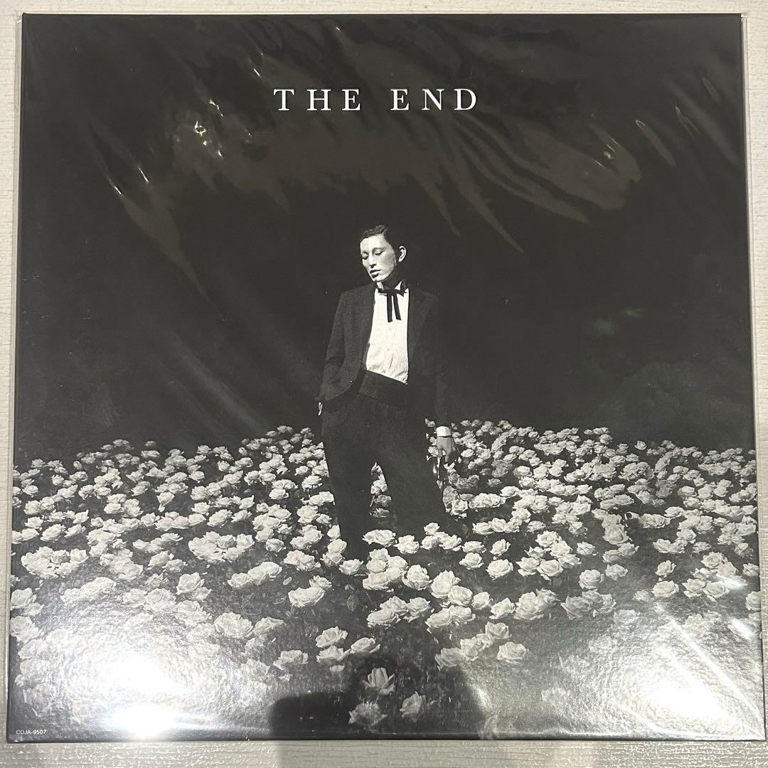 毛皮のマリーズ レコード 2枚セット ドレスコーズ　志磨遼平